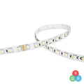 Cinta tira LED interior 5m 24V 98W RGBW - IX1625
