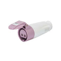 Ficha prolong. ind. 2P s/tierra 16A 24V violeta - GG2064