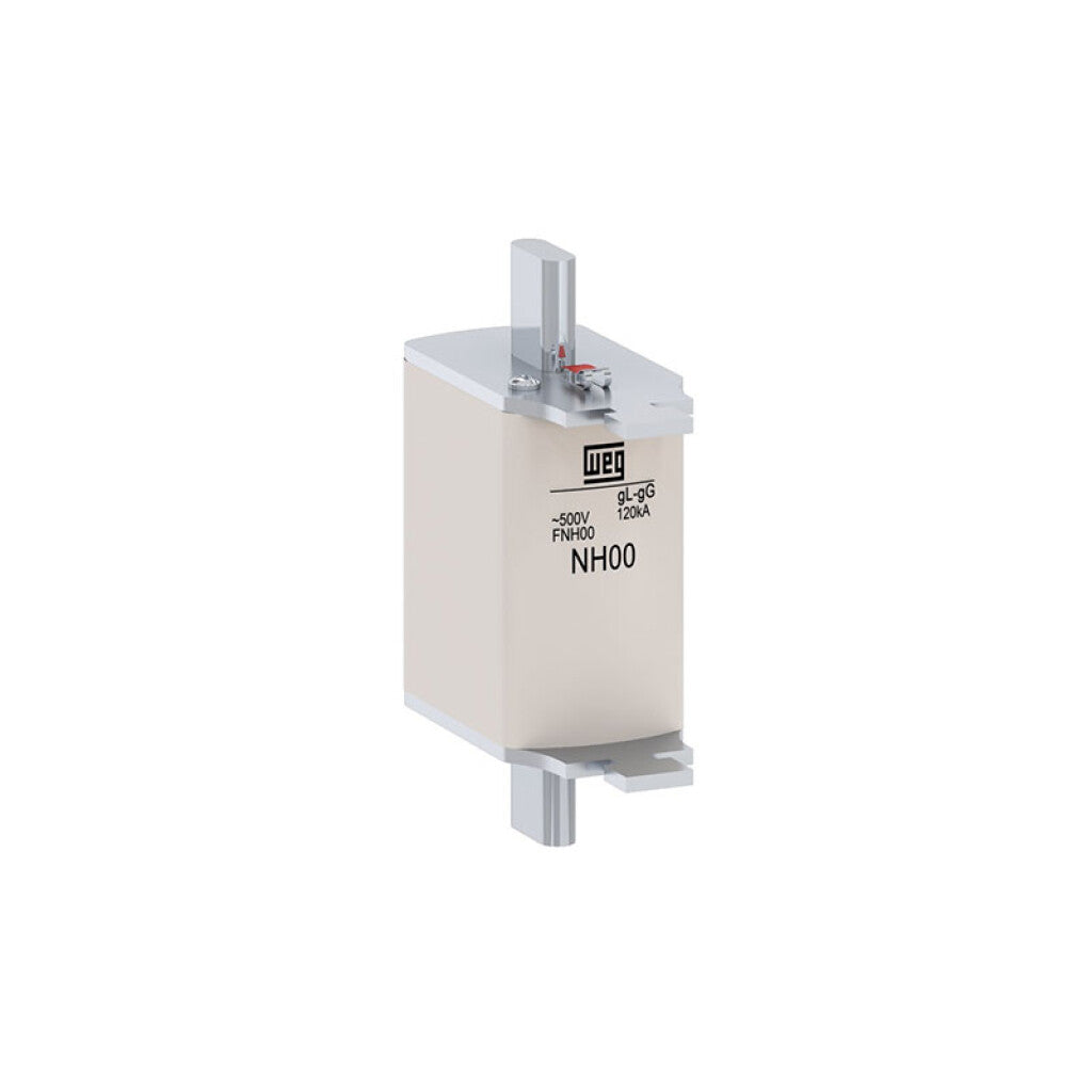 Fusible NH-00 80A GG - WE9409