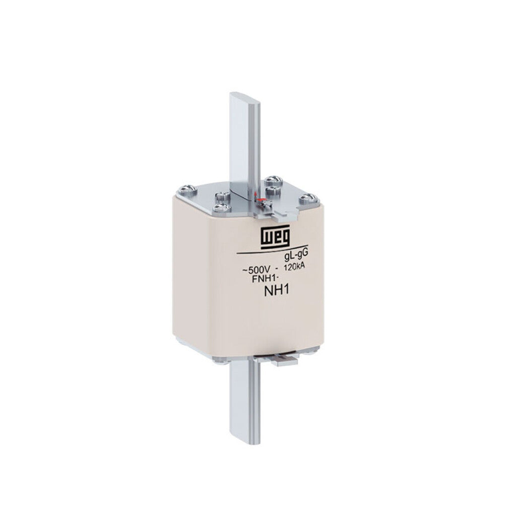 Fusible NH-1 160A GG - WE9413