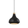 Lámpara colgante campana metal negro y madera Ø34 - IX9018
