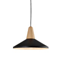 Lámpara colgante campana metal negro y madera Ø36 - IX9014