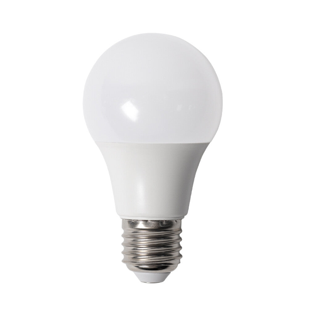 Lámpara LED bulbo opal E27 12V DC 9W fría - IX1049Y