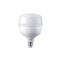 Lámpara Led E27 50W luz fría 4500Lm - L27355
