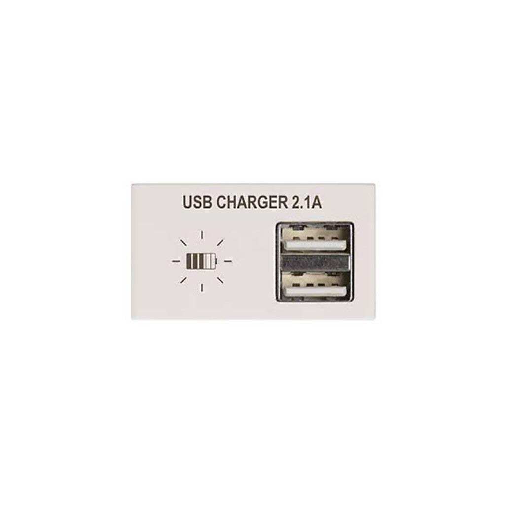 Módulo cargador p/2 USB 2,1A Duomo blanco - C57928
