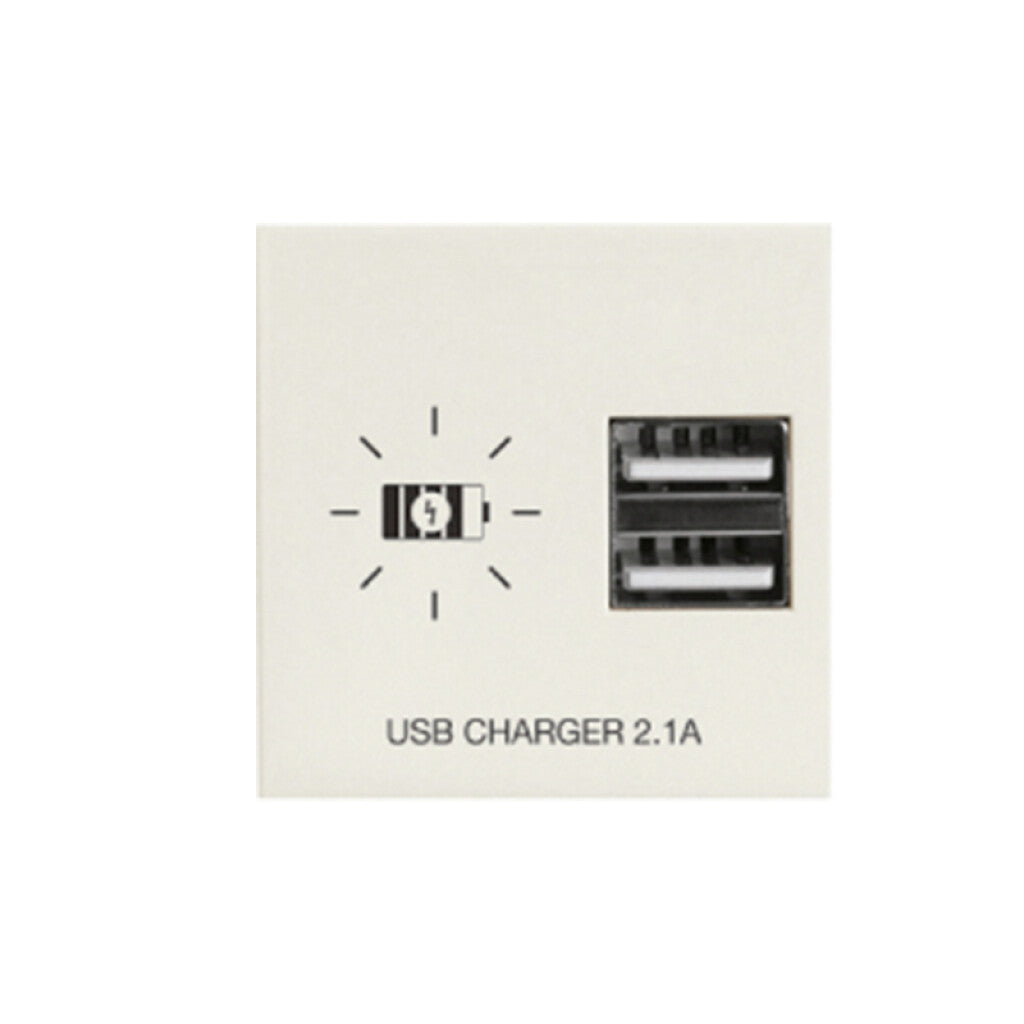 Módulo cargador p/2 USB 2,1A Presta marfil - C51622
