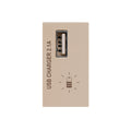 Módulo cargador USB 2,1A Ave - C55902N