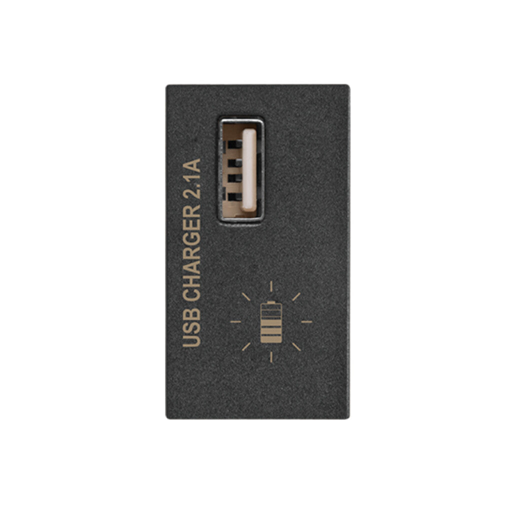 Módulo cargador USB 230V 1A 5Vdc Duomo grafito - C56478N