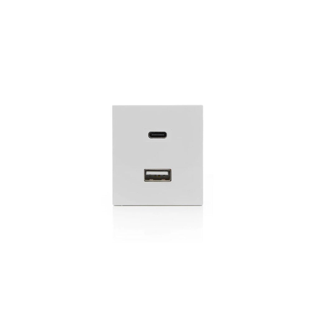 Módulo cargador USB A + C blanco puro - SK3191