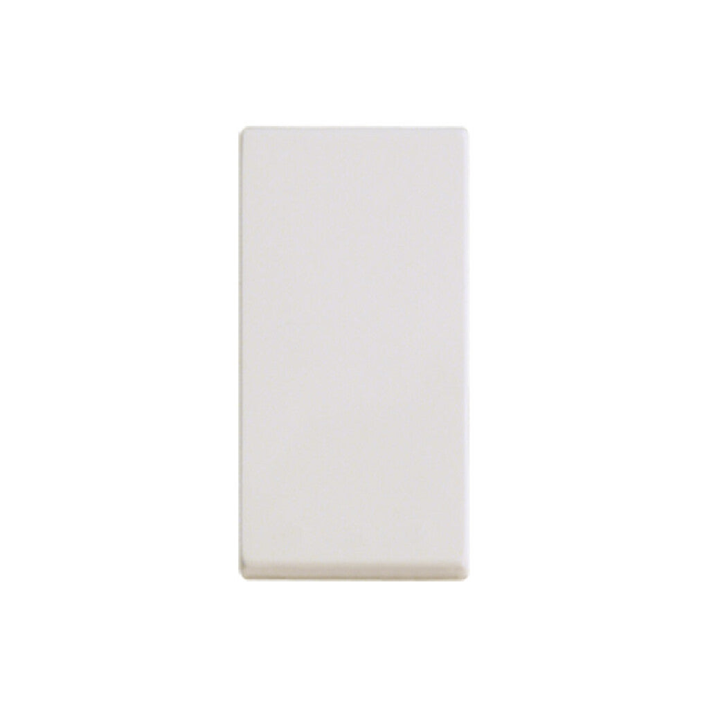 Módulo llave unipolar 10A 250V - Presta marfil - C51600