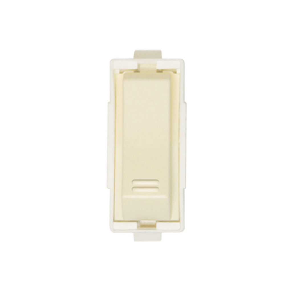 Módulo llave unipolar 10A 250V - Visione marfil - C52102
