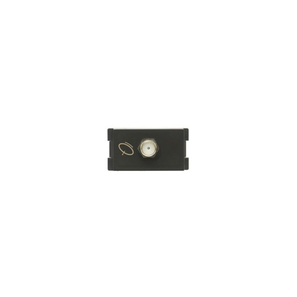 Módulo p/ TV coaxial 75 Ohms gris - Atenea Plus - M48518