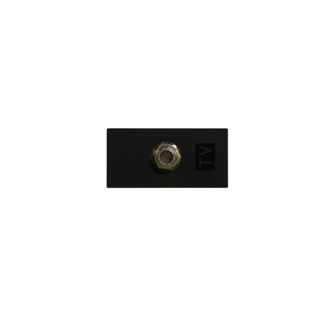 Módulo para TV coaxial 75 Ohms gris - Reggio - M46222
