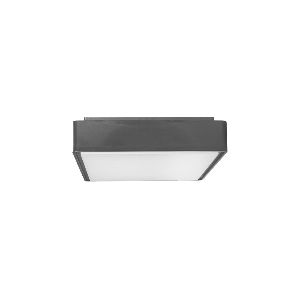 Plafón LED cuadrado gris IP65 12W 3000K 220mm - AO1170