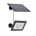 Proyector solar+sensor mov. IP65 control RF, CCT - IX3060X