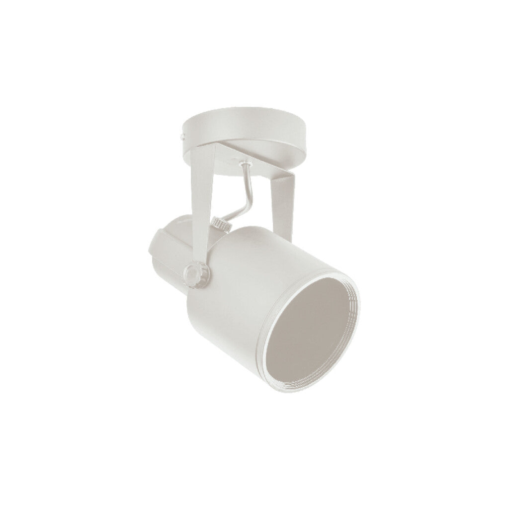 Spot de metal blanco base redonda 1XE27 PAR30 Cuello alto - IX9714