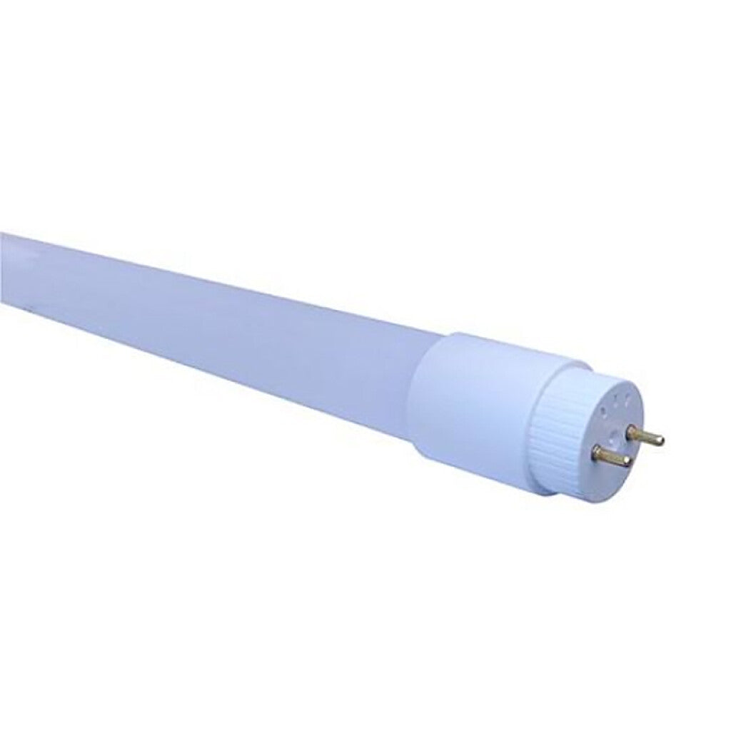 Tubo LED T8 220V/9W/60cm/fría 6400K/dif.vidrio - WZ0004